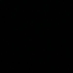 Meet your Posher, Liza